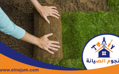 تركيب عشب في ابوظبي 0557891679