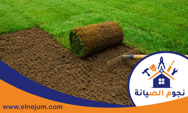 تركيب عشب في ابوظبي