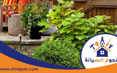 تركيب عشب في الشارقة 0557891679