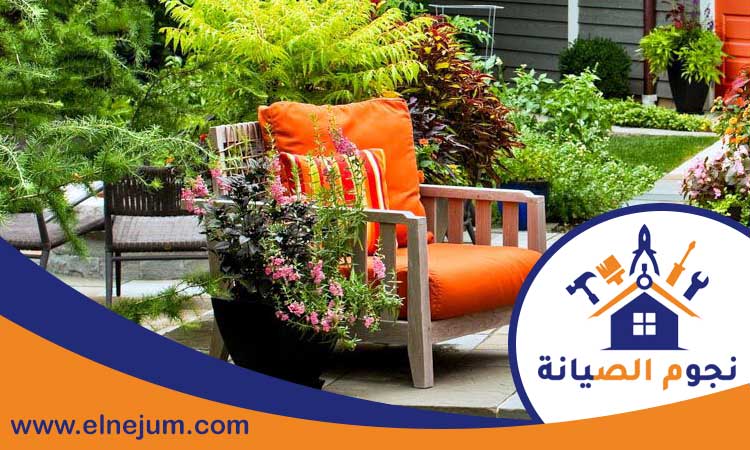تركيب عشب في العين