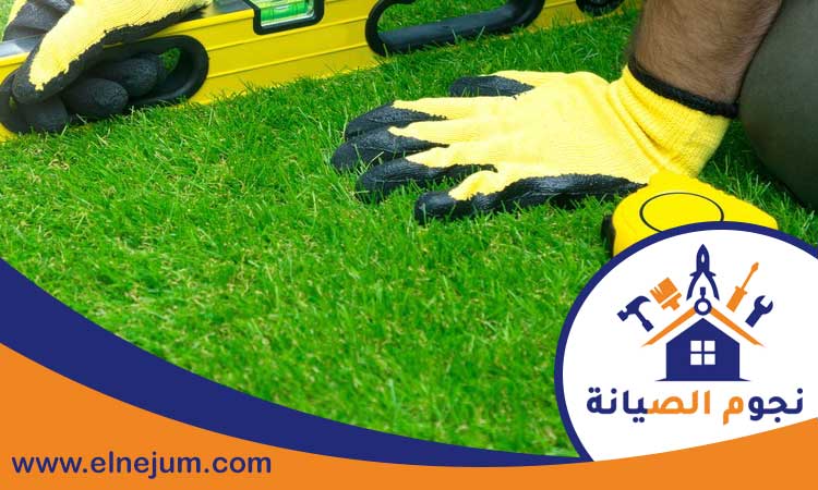 تركيب عشب في العين