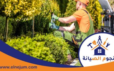 تركيب عشب في الفجيرة 0557891679