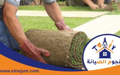 تركيب عشب في ام القيوين 0557891679